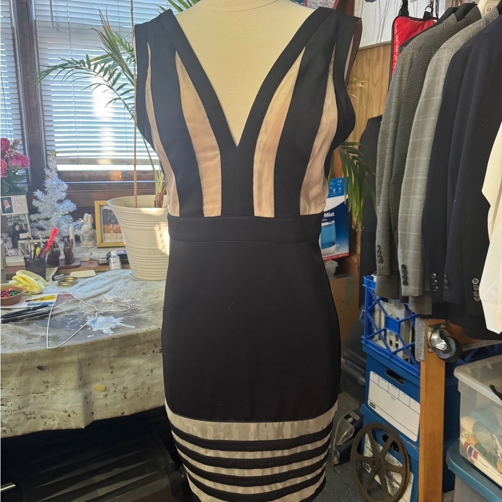Elegant Black and Cream Dress